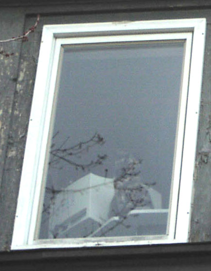 Trilly-Window-closeup